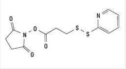 β2-microglobulin