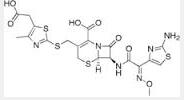 Cefodizime acid