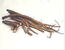 Great Burdock Achene Extract(Burdock Root Extract)