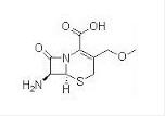 Parent nucleus of Cefpodoxime