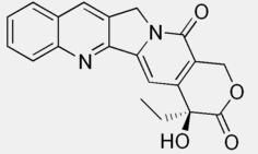 The Introduction of Camptothecin