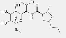 The Introduction of Clindamycin hydrochloride