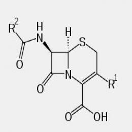 Cephalosporin