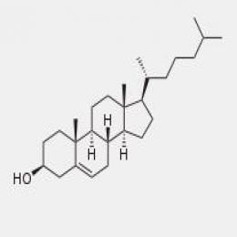 Cholesterol