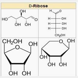 D-ribose