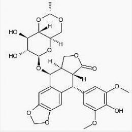 Etoposide