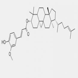 Gamma oryzanol