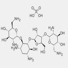 Neomycin sulphate