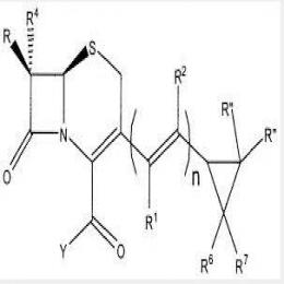 Parent nucleus of Cefditoren
