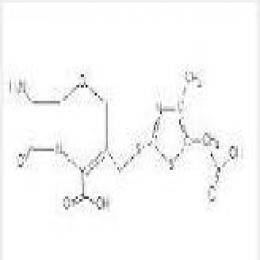 Parent nucleus of Cefodizime