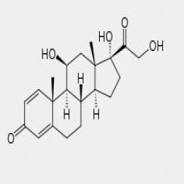 Prednisolone