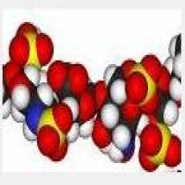 Protamine sulfate